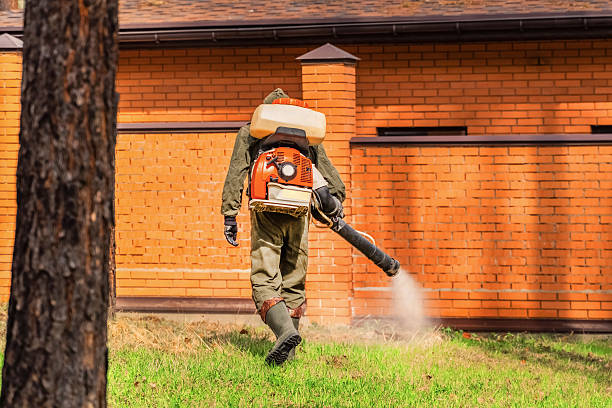 Trusted Ant Control service in Pinebluff, NC - Nex Pest Control